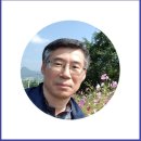 나무나무 이미지