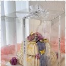 지나케이크 이미지