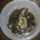 안동농원 이미지