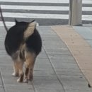 365농수산물직판장태화점