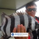 바다정성