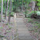 이사주당 유한규묘 이미지