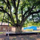 동례마을회관 이미지