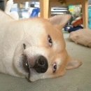 피트니스 메카 이미지