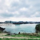 제주해밀공인중개사사무소 | 함덕해수욕장 서우봉 조천읍 함덕리 제주세컨하우스 함덕해밀타운