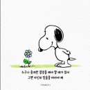 장미 스킨 바디