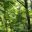 씨에코펜션 이미지