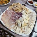 용화횟집 | 거제도에 왔다면 한번 먹어봐야하는 코끼리조개와 왕우럭조개, 용화횟집 다녀온 후기 - 거제 추천 맛집