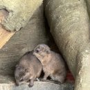 2024.08.21 오산 버드파크 (2)