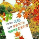 겟소 이미지