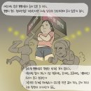 박까스