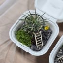 서성동경로당 이미지