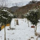 박남재농장 이미지