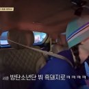 꽃보다돼지