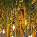 석촌가든 이미지