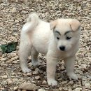 두산아트센터 연강홀 이미지