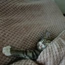 그리다, 강릉 이미지