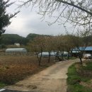 정혜훈 공인중개사 이미지