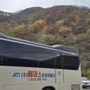에이스투어 여행사 이미지