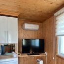 월오포레스트 이미지