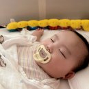올하트 - 성북구 오패산로 55 | 더블하트 통잠 쪽쪽이 소프트버디 내돈내산 후기｜올실리콘이라 아기도 편하게 무는 쪽쪽이