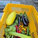 성중농장 이미지