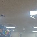 후암사랑샘약국 | 서울후암제일교회 복음복화술 버블쇼 찾아가는 주일학교 공연 후기-몽키쇼쇼쇼