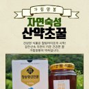 청송나무집 네이버블로그