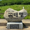 2024년8월11일 곰배령(1,164m) /강원 인제 이미지