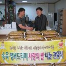 시루향기 이미지