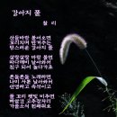 찰리(김완철) 습작시및 프로필 이미지