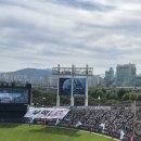 우리슈퍼망경점 | 스포츠 직관 (이라 쓰고 패요소개 라고 읽는다)