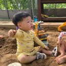 영농조합법인 청연오리 | 용인 한터농원 19개월 아기랑 다녀온 후기! 동물 먹이주기 물놀이 모래놀이까지 하루 종일 놀기