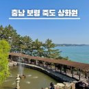 월드메르디앙뒷편 연결도로 | 충남 보령 여행 죽도 상화원 후기