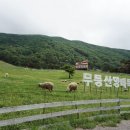 화순목장 이미지