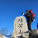 눈꽃여행 이미지