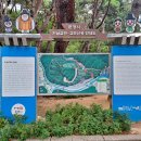 달빛사랑
