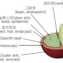 빈이커피 이미지