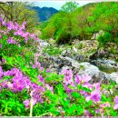 월성농산 - 부산진구 백양순환로10번길 13-1 | 월성농산