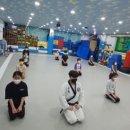 대한무술원