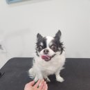 초이미용실 이미지