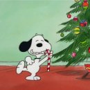 밤시(BAMSI) 이미지