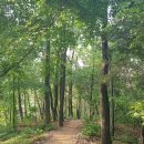 청계사 경내 이미지