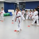 상록태권도 이미지