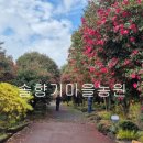 선녀와 나뭇꾼 이미지