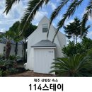 스테이B | [제주/안덕] 114스테이 | 내돈내산 스테이B 후기! 제주 신상 숙소 산방산 뷰 서귀포 독채 펜션 풀빌라
