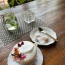 티룸동백 이미지