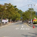 불갑사 관광안내소 네이버블로그