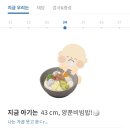 와이트립