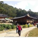 영원사 비로자나후불탱화 | 설악산 영시암(永矢庵)